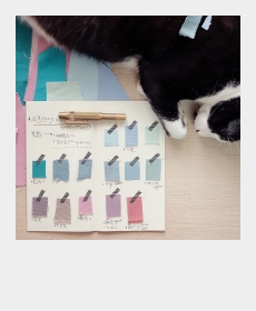  Work diary :)