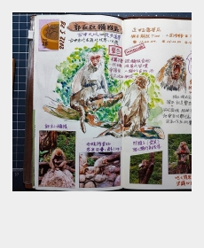 Ｍacaque  park  in   Taichung