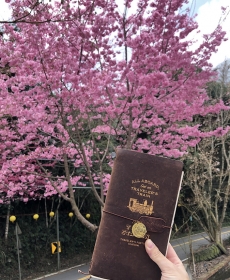 帶著TN去旅行