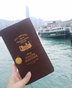 Star Ferry and my TN