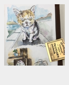 My Sketches Journal