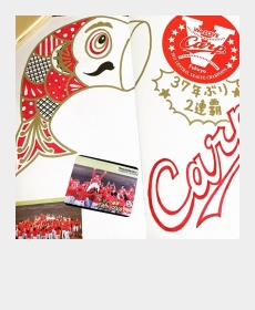 広島東洋カープがリーグ優勝を決めた日の日記