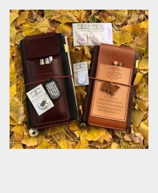 TN和金色的落叶