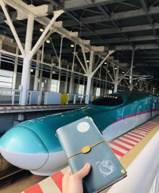 TN & Shinkansen TN & Shinkansen