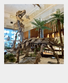 恐竜とトラベラーズノート