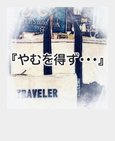 『やむを得ず・・・』