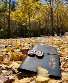 紅葉と銀杏