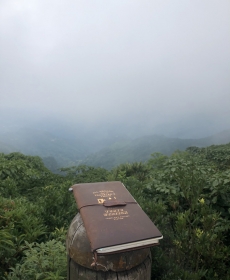 帶著TN去旅行 Travel along with TN 