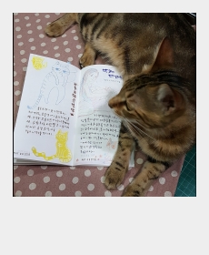 読書感想文 と にゃん