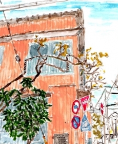 藤の医
