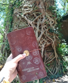 龍騰斷橋，比想像中的有趣~