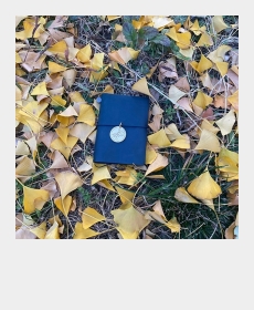 my passport notebook
