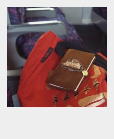 Take TN to the train