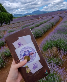 TN @ Bridestowe Lavender, Tasmania Australia