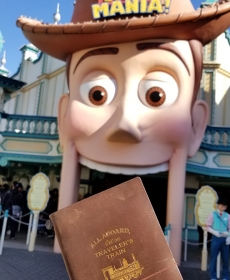 the Wonderful time in Tokyo Disney Sea