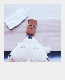 Travelers Essential
