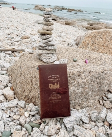 帶著TN去旅行