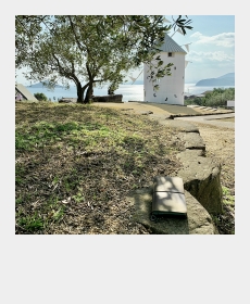 『オリーブの島』