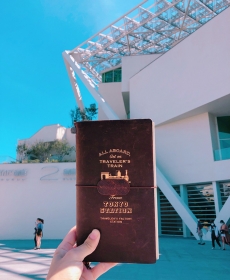 帶著TN去旅行 Travel along with TN 