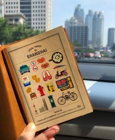 Traveling to Shanghai with TN