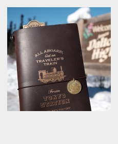 Traveling to Alaska with my TN