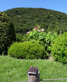 念願のトラベラーズノートとの旅。