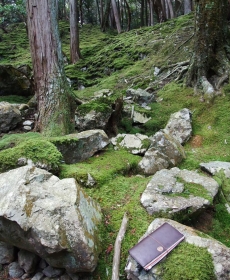 苔寺 西芳寺