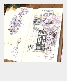 Wisteria