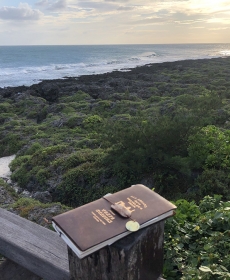 帶著TN環島趣