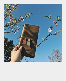 Spring is coming :)