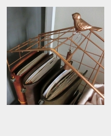 My TN&#039;s Cage