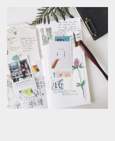 lively cover page
