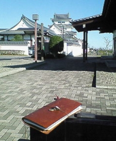 関宿城博物館へ