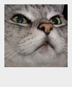 『2012.5.21』