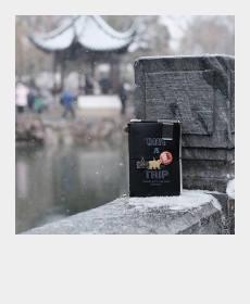 Bring My Lovely Traveler&#039;s Notebook Everywhere