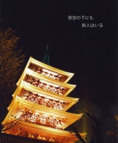 夜空の下にも旅人はいる