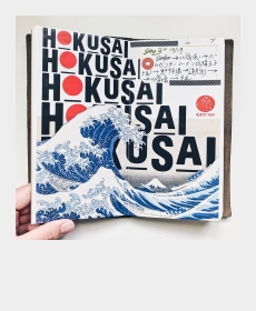 traveling in Kyoto with my TN :)