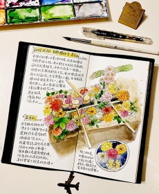 勝林寺の花手水