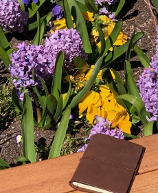 Perfect way to start the spring