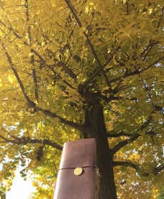 トラベラーズノートデビュー