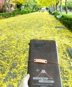 My Golden Rain Tour