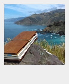 My TRAVELER&#039;S notebook