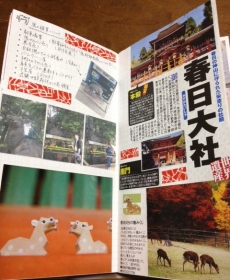 TRAVELER&#039;S notebook in 奈良