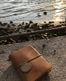 lovely TN go with beautiful sunset