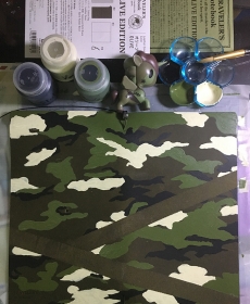 paint my oliver into Camouflage~