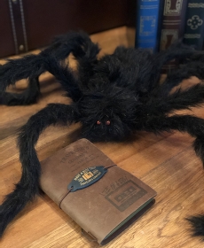 Celebrating Halloween in Malaysia