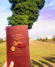 帶著TN去旅行 Travel along with TN