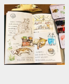 Cats in the Coffee shop.