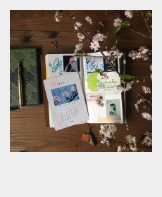 Travel journal
