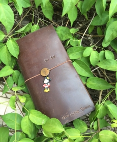 Brown edition with my daily life